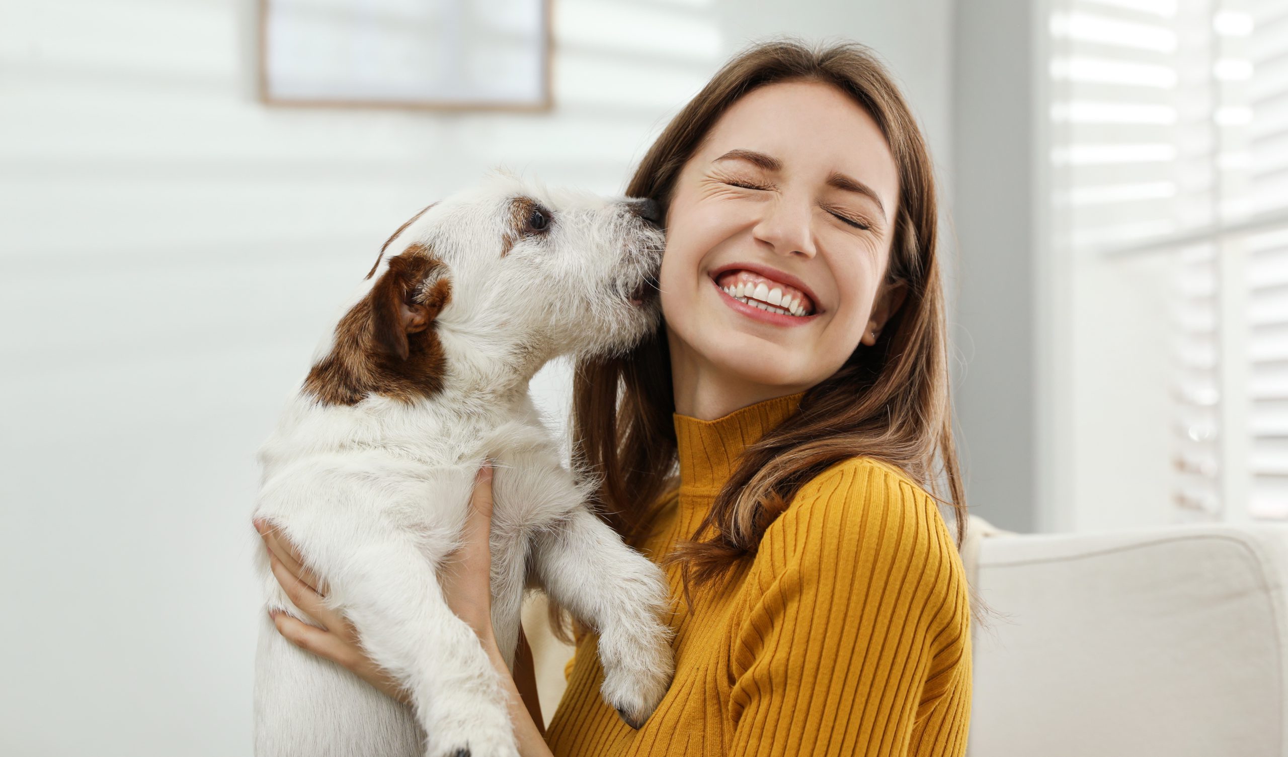 one-health-animales-rec