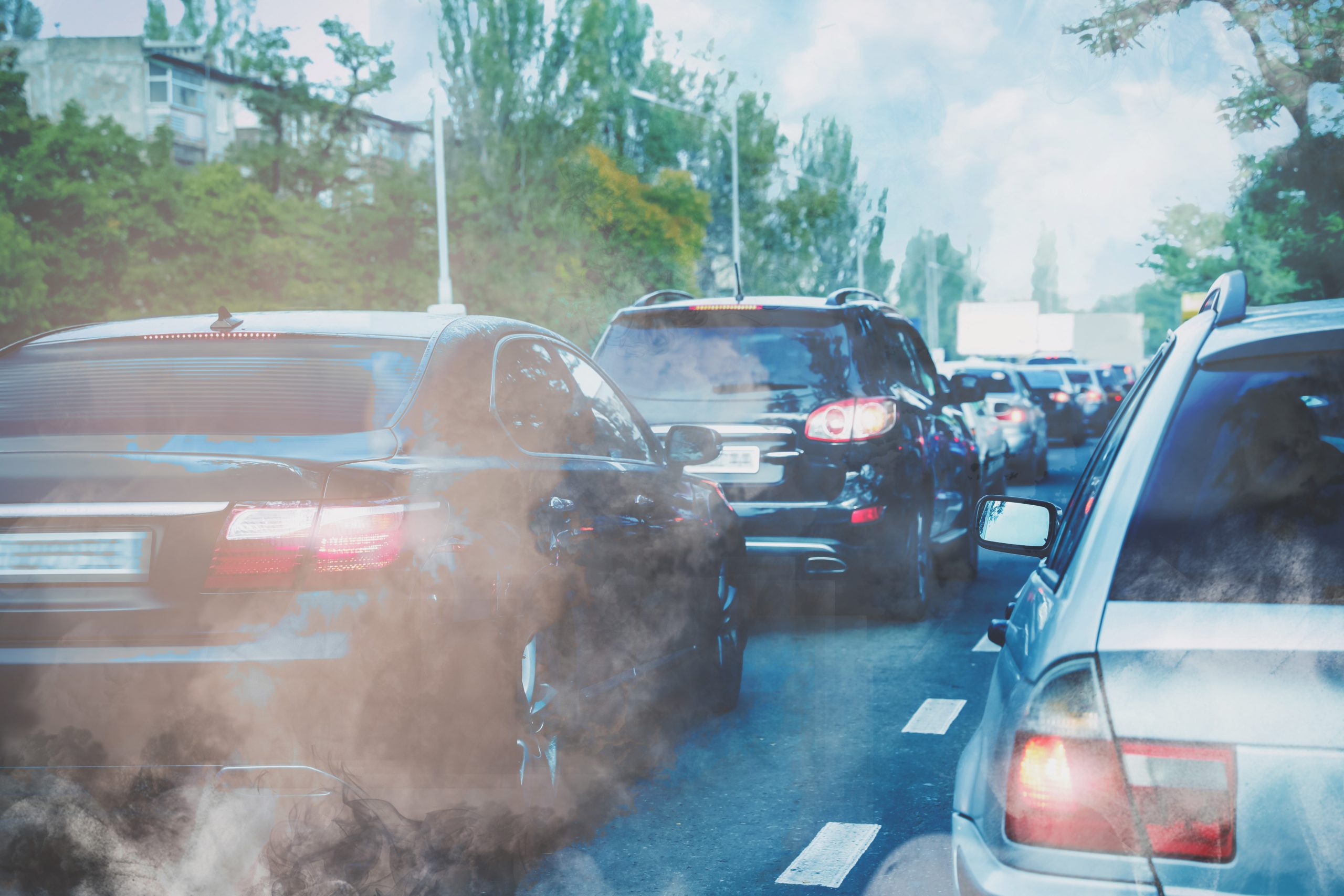 enfermedades-contaminación-ambiental_BLOGHLA