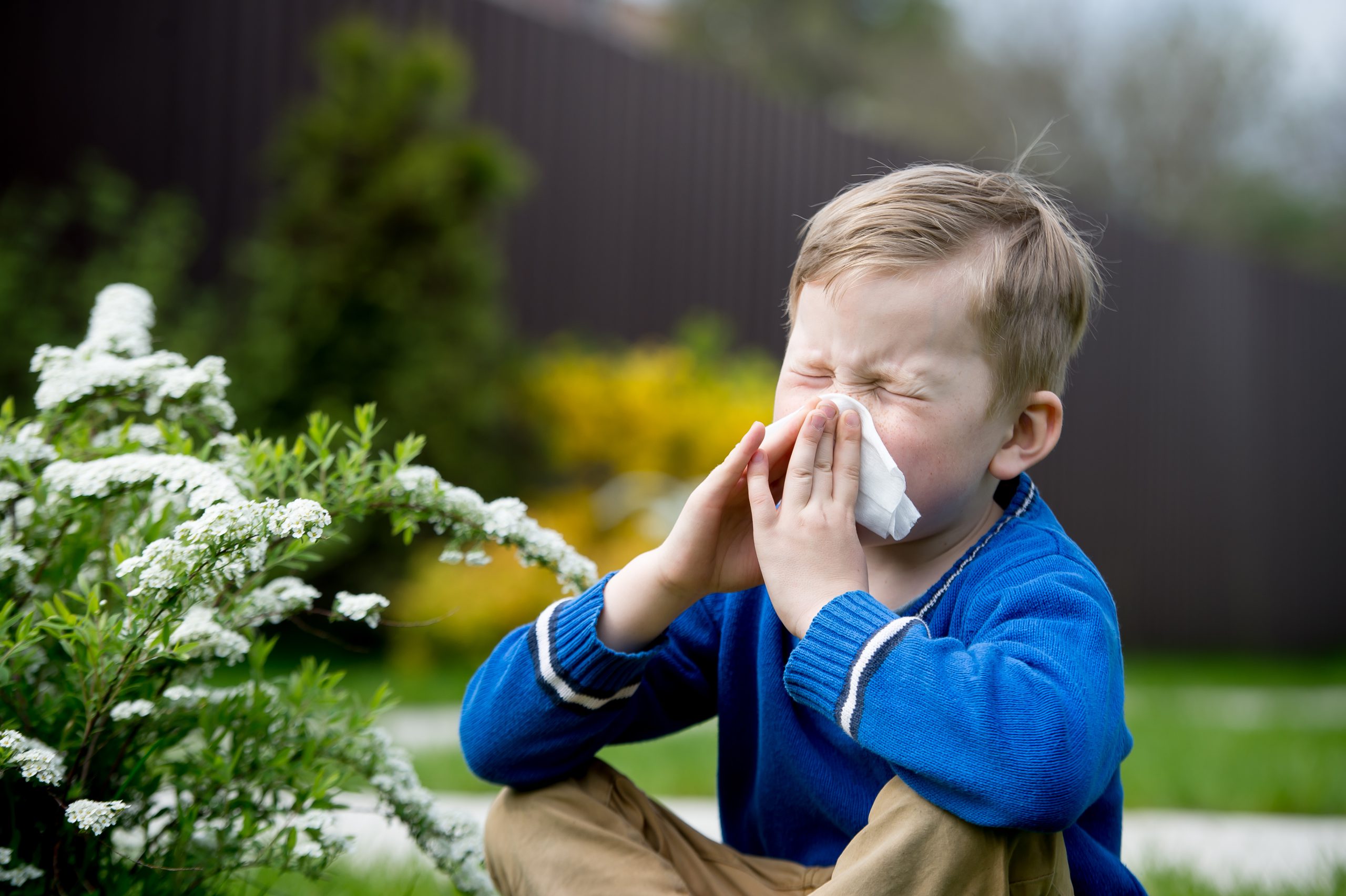 alergias-ninos-infancia